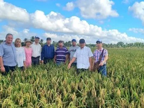 Việt Nam đem bí quyết trồng ‘hạt vàng’ sang Cuba, kết quả sau vài tháng đã rõ ràng
