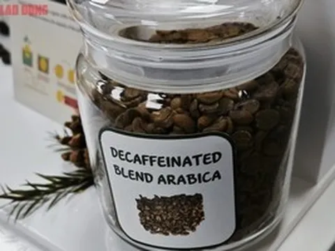 Giá cà phê hôm nay 29-6: Điều ít biết về cà phê không chứa caffeine