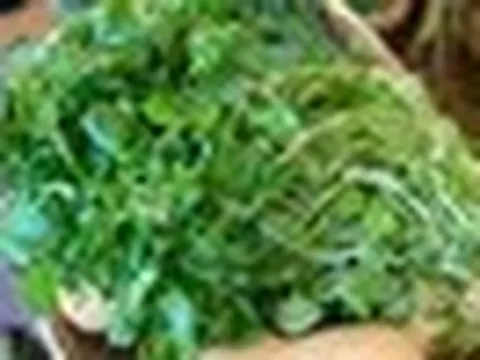 Việt Nam có 3 loại rau "đại bổ": Loại thứ nhất gây bất ngờ vì có nhiều omega-3