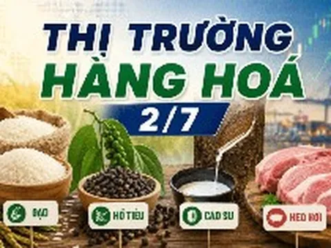 Thị trường hàng hóa 2/7: Heo hơi giảm diện rộng, gạo và hồ tiêu tiếp tục đi ngang