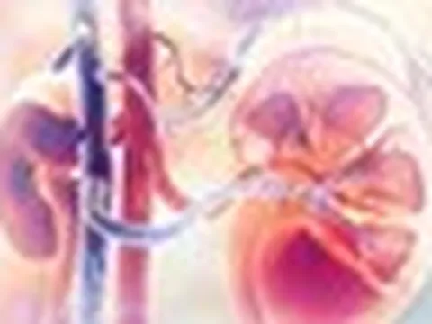 Thói quen của nhiều người Việt khiến thận ứ nước, mỏng như giấy: Bác sĩ cũng phải bất lực
