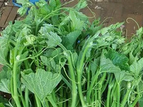 Loại rau bổ dưỡng bán đầy chợ giúp ổn định huyết áp, tốt cho tiêu hóa, nhiều người bỏ qua