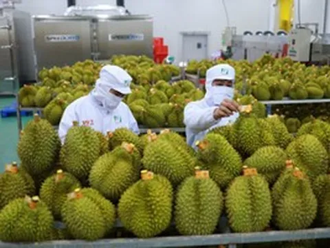Nhà máy đầu tiên của Việt Nam lập kỳ tích chưa từng có được phía Mỹ chính thức cấp phép liên quan đến trái cây xuất khẩu