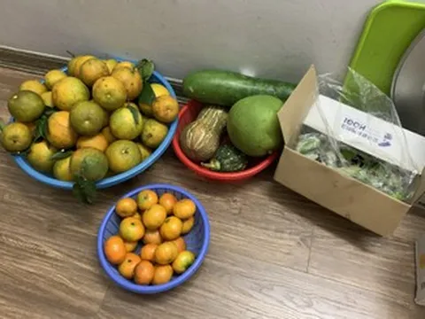 Mẹ chồng tính tiền từng mớ rau, quả trứng cho con cháu, nàng dâu xử lý 'cao tay'