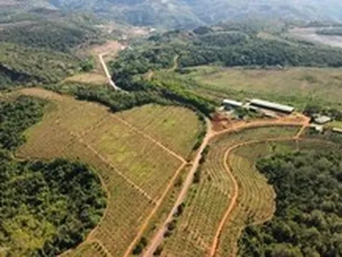 Đất rừng bị xâm lấn trong khi chờ phương án sử dụng