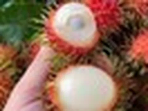 5 loại quả đi chợ nên mua